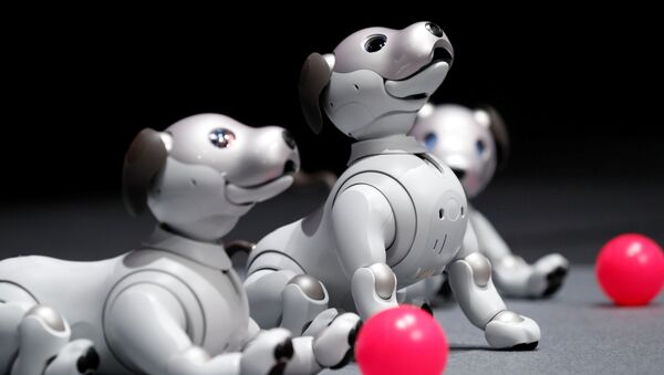 ソニーの犬型ロボット「アイボ」復活 - Sputnik 日本
