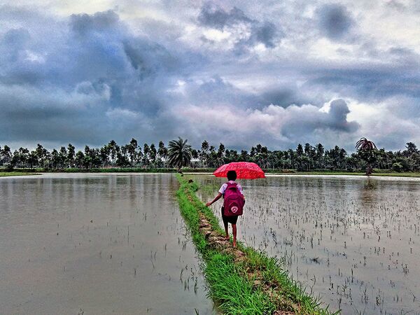 Anindya Phani氏の作品「学校への旅」（Journey to school）。この写真は南ベンガル州で撮影された。モンスーンの豪雨の後のベンガル湾の水位上昇により、毎日数百人が自宅を失い、孤立を余儀なくされている。 - Sputnik 日本