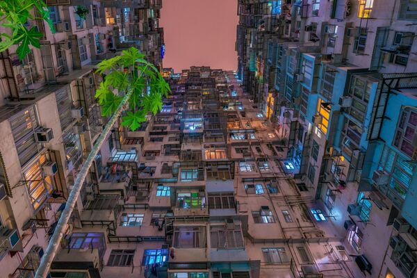 Huynh Thu氏の作品「私たちには緑が必要」（We need green）は、香港の限られた空間に暮らす人々には自然を思わせるものがわずかでも必要なのだということに見る人の注意を引きつけようとしている。 - Sputnik 日本