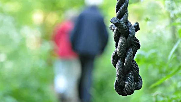 人工知能、９１％の精度でＭＲＩから自殺願望者の予測が可能に