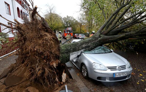 ドイツ・ベルリンで強風を伴う嵐「Herwart」により車の上に倒れた木の近くに立つ消防隊 - Sputnik 日本