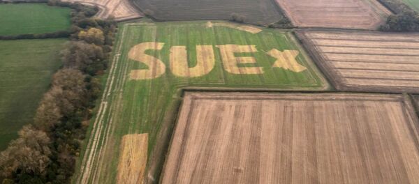 英国の謎の畑文字にＳＮＳユーザー困惑 - Sputnik 日本