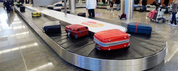 スーツケース（アーカイブ写真） - Sputnik 日本