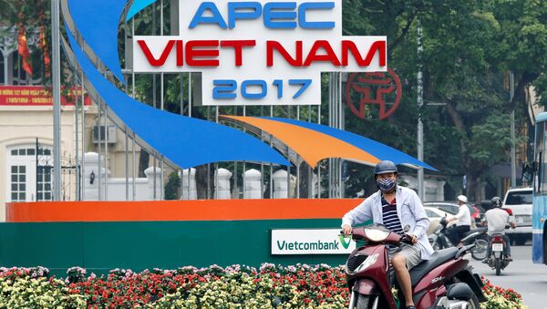 Hội nghị thượng đỉnh APEC sẽ được tổ chức tại Việt Nam vào tháng 11 - Sputnik 日本
