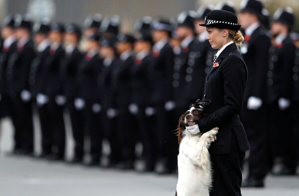 英ロンドンで開かれた警官のパレードで犬を連れて歩く警官 - Sputnik 日本