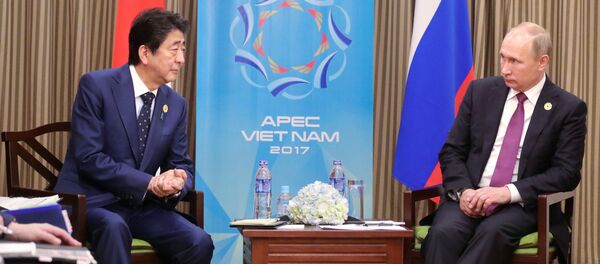 露日首脳会談 - Sputnik 日本