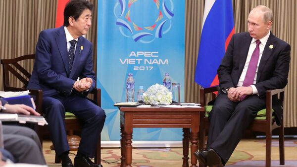安倍首相とプーチン大統領はAPECの場で何を協議したのか？ - Sputnik 日本