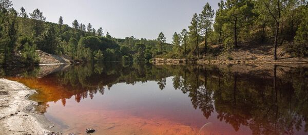 非常に毒性の強い世界の川や湖【写真】 非常に毒性の強い世界の川や湖【写真】 - Sputnik 日本