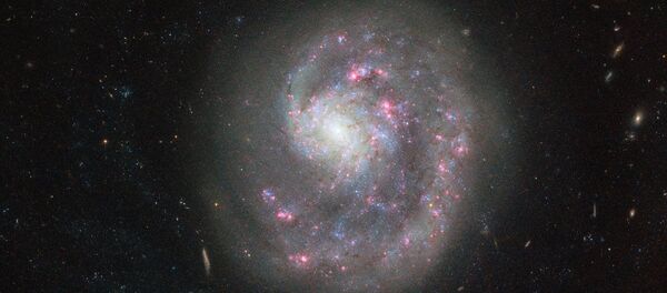 矮小銀河「NGC 4625」 矮小銀河「NGC 4625」 - Sputnik 日本