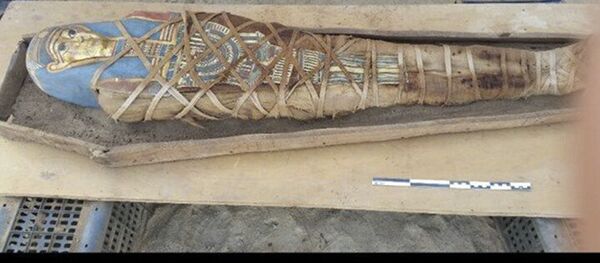 ミイラ ミイラ - Sputnik 日本