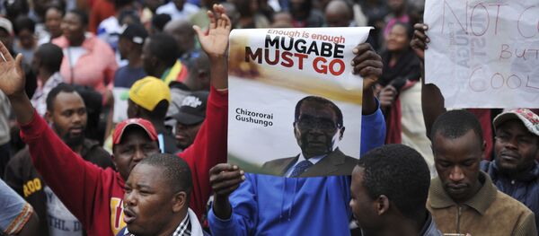 ジンバブエ　前副大統領が新大統領に就任へ - Sputnik 日本
