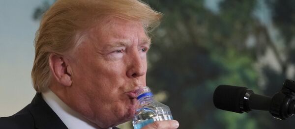 トランプ氏 - Sputnik 日本