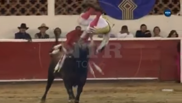 牡牛が闘牛士に復讐　角で股を突き刺す - Sputnik 日本