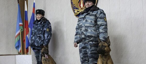 クローン犬 クローン犬 - Sputnik 日本