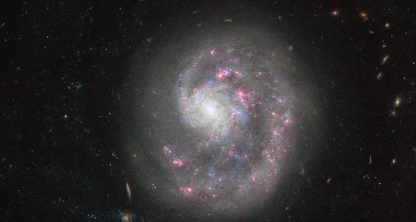 りょうけん座の方向にある地球から約3000光年の距離にある銀河NGC 4625 りょうけん座の方向にある地球から約3000光年の距離にある銀河NGC 4625 - Sputnik 日本