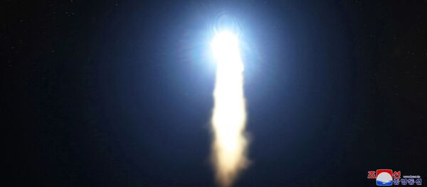 旅客機の乗組員が、北朝鮮のミサイル発射の目撃者に? 旅客機の乗組員が、北朝鮮のミサイル発射の目撃者に? - Sputnik 日本