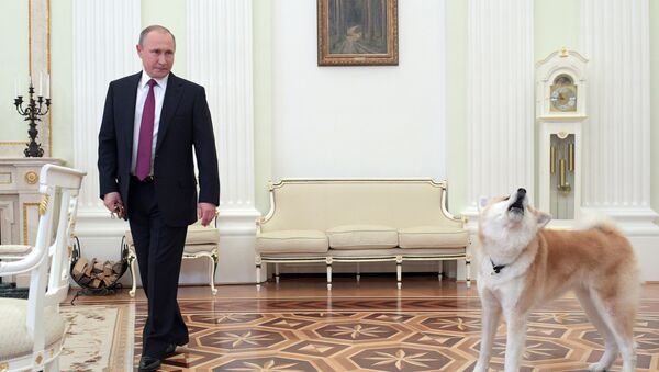プーチン大統領とユメ - Sputnik 日本