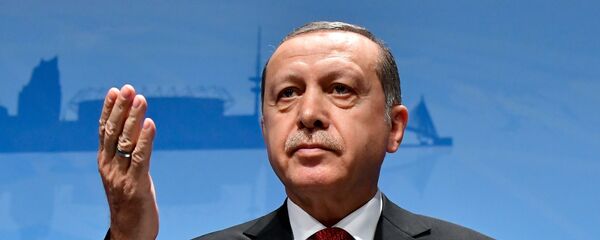 トルコのエルドアン大統領 トルコのエルドアン大統領 - Sputnik 日本