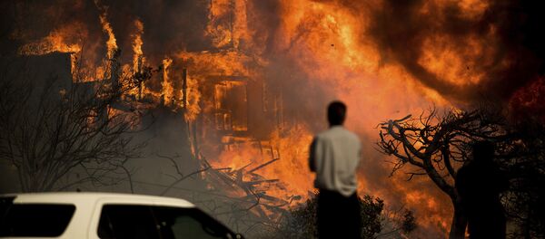 カリフォルニア森林火災 カリフォルニア森林火災 - Sputnik 日本