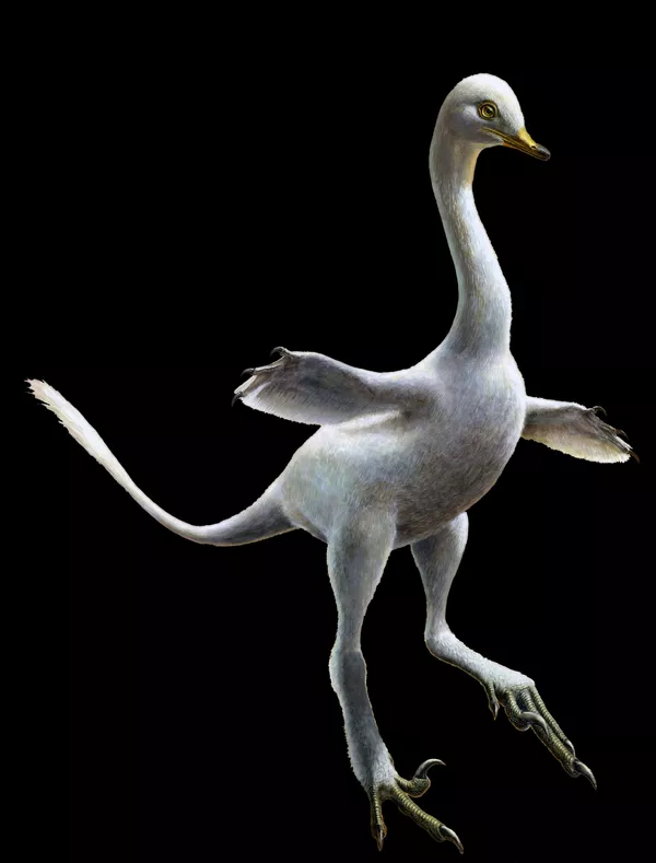 白鳥のような姿をした恐竜(画家のイメージ) 白鳥のような姿をした恐竜(画家のイメージ) - Sputnik 日本