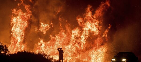 カリフォルニアの山火事(17年12月6日) カリフォルニアの山火事(17年12月6日) - Sputnik 日本