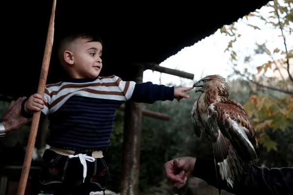 ヨルダン川西岸で鷹と遊ぶパレスチナの少年 - Sputnik 日本