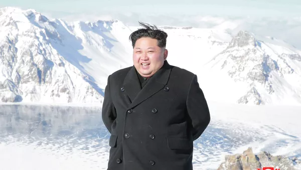 金正恩氏、白頭山で - Sputnik 日本