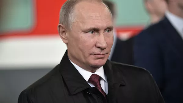 プーチン大統領がトルコとエジプトを訪問、両国首脳と会談へ - Sputnik 日本