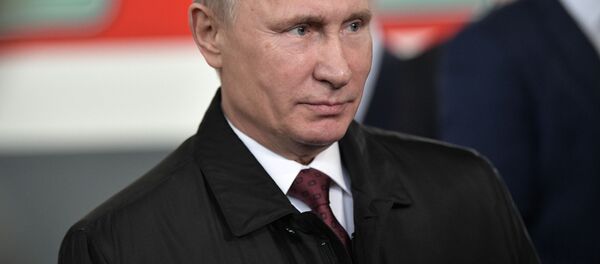 プーチン大統領がトルコとエジプトを訪問、両国首脳と会談へ - Sputnik 日本