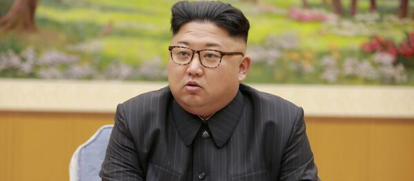 朝鮮中央通信、金正恩氏の目的を明らかに 朝鮮中央通信、金正恩氏の目的を明らかに - Sputnik 日本