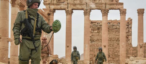 シリア中部のパルミラ遺跡と住宅街で地雷を除去するロシア軍工兵ら シリア中部のパルミラ遺跡と住宅街で地雷を除去するロシア軍工兵ら - Sputnik 日本