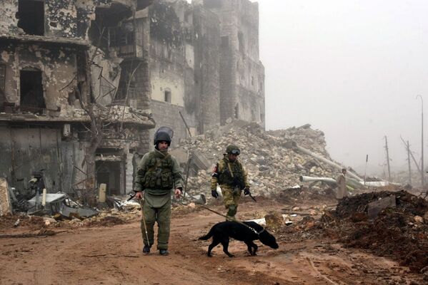 シリア北部アレッポにある中世の要塞「アレッポ城」で地雷を除去する兵士ら - Sputnik 日本