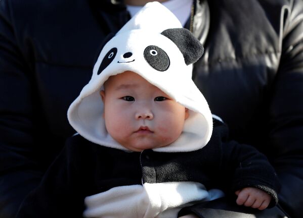 パンダ服をまといシャンシャンの観覧を待つスワゾノ・ミウちゃん（生後６ヶ月） - Sputnik 日本