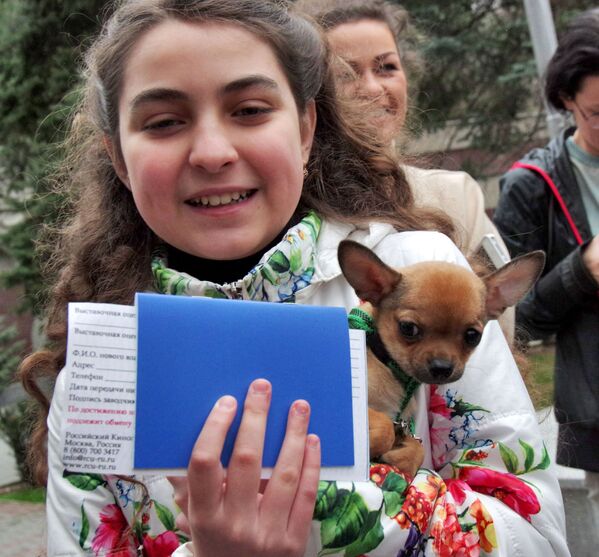 プーチン大統領から贈られたチワワの子犬を抱いたアリーナ・ズィコワさん。２０１６年 - Sputnik 日本
