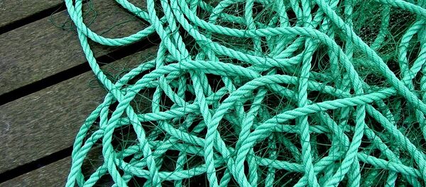 漁網 漁網 - Sputnik 日本