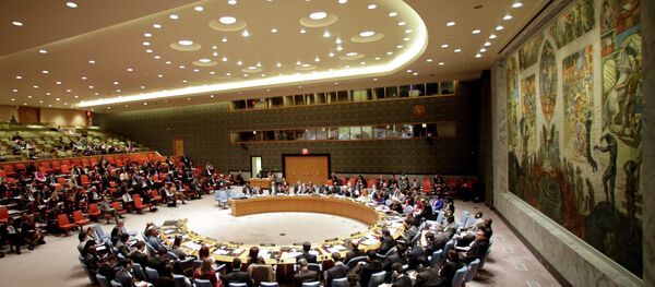 国連安全保障理事会 国連安全保障理事会 - Sputnik 日本