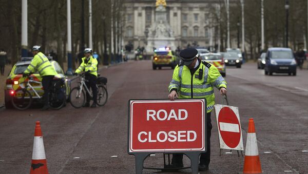 ロンドン警察　バッキンガム宮殿付近で不審車を無害化処理 - Sputnik 日本