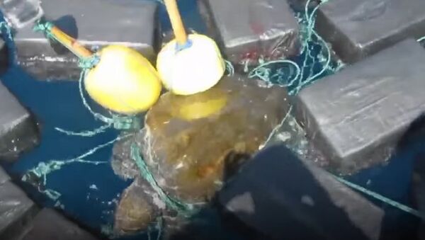 乗組員が５３００万ドル相当のコカイン密輸品に絡まったウミガメを救出【動画】 - Sputnik 日本