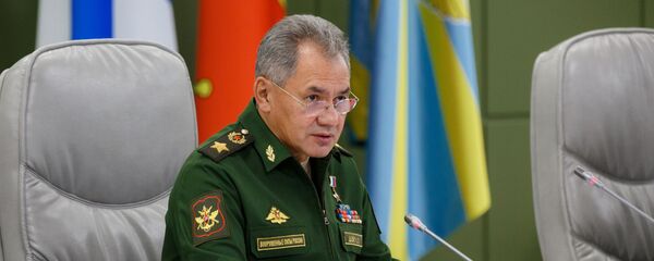 ショイグ国防相 ショイグ国防相 - Sputnik 日本