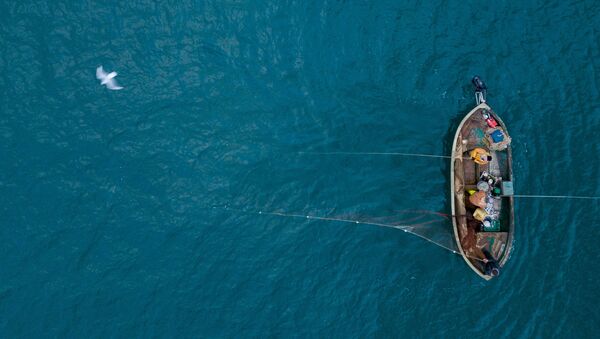 インドネシア沖　漁船の衝突事故で17人行方不明 - Sputnik 日本