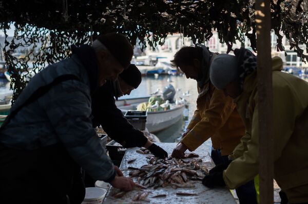 黒海セヴァストポリの岸辺で海釣りに興じる釣り人たち - Sputnik 日本