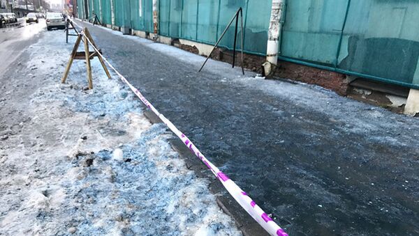 Синий снег, выпавший в Санкт-Петербурге 26 декабря 2017 - Sputnik 日本