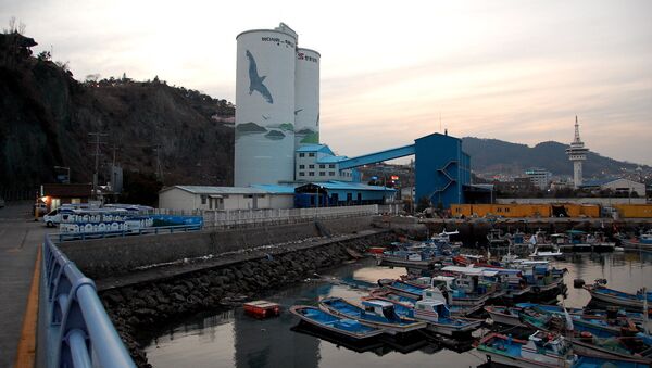 聯合ニュース「香港船、北朝鮮に石油製品引き渡し」 - Sputnik 日本