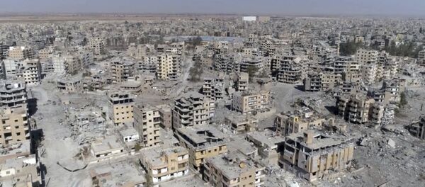 ラッカ ラッカ - Sputnik 日本