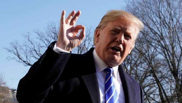U.S. President Donald Trump gestures as he talks to the media on South Lawn of the White House in Washington, U.S., before his departure to Camp David, December 16, 2017 - Sputnik 日本