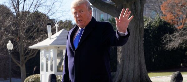 トランプ氏、金正恩氏と「良好な関係」否定　米紙非難 - Sputnik 日本