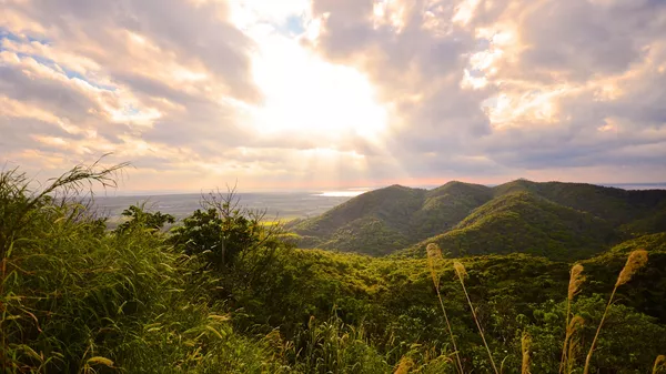 石垣島 - Sputnik 日本