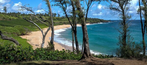 ハワイ島のリゾート地カパア ハワイ島のリゾート地カパア - Sputnik 日本