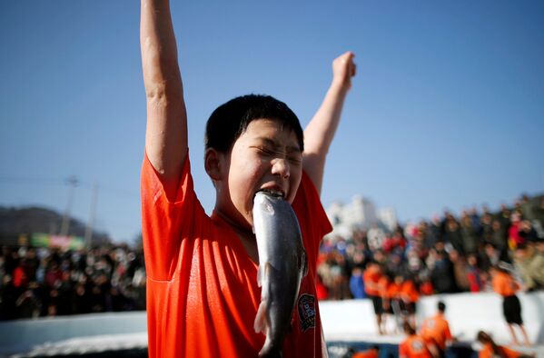 マスを素手で生け捕りした少年　韓国、華川郡での氷の祭 - Sputnik 日本