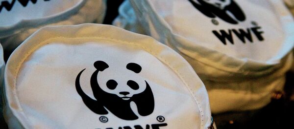 WWF「メルケル氏はノルド・ストリーム2に終止符を」 WWF「メルケル氏はノルド・ストリーム2に終止符を」 - Sputnik 日本